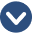 Down arrow icon